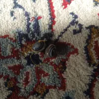 سلام کسی میدونی این مهره چی هست