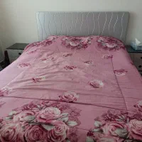 تخت|تخت و سرویس خواب|قروه, |دیوار