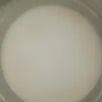 فروش شیر  ودوغ گاو محلی