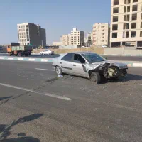 زانتیا تصادفی