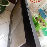 هود|هود|مشهد, مقدم|دیوار