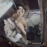 آکواریوم ۲۰۰ لیتری با تمام تحهیزات|ماهی|بندرعباس, |دیوار