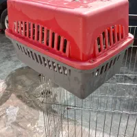 باکس