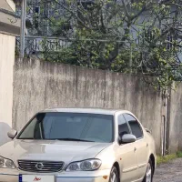 ماکسیما ۸۲ درحد