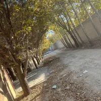 اجاره باغ ویلا|اجارهٔ خانه و ویلا|تهران, آبشار تهران (دریاچه)|دیوار