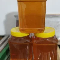 عسل طبیعی ودرمانی|آرایشی، بهداشتی، درمانی|آبش احمد, |دیوار