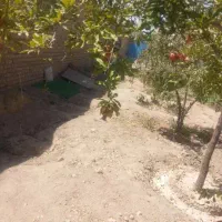 1106-فروش-باغچه500متری-بلوار-دانشگاه-فقط-3-900-نقد