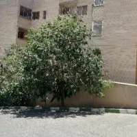 406-متر-3-مالک-فروش-تهاتر-مشارکت-تاپ-لوکیشن