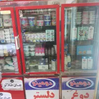 تعمیرات تخصصی یخچال  خانگی وفروشگاه|خدمات پیشه و مهارت|پیشوا, |دیوار