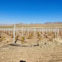 فروش فنس وتیرک باغی اجراونصب|خدمات پیشه و مهارت|شاهین دژ, |دیوار