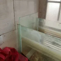 اکواریوم سالم