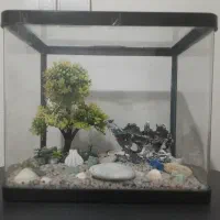 آکواریوم شیشه خم|ماهی|تهران, کاج|دیوار