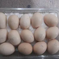 تخم مرغ افغانی