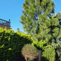 رزرو-ویلا-نوسازساحلی-درشهرک-برند-دریاکنار-vip