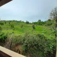 ویلای نوساز کوهپایه با چشم انداز ۳۶۰ درجه فول.فول|فروش خانه و ویلا|لاهیجان, کوی خزر|دیوار