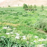 اجاره روزانه اپارتمان ۹۰ متری در روستای تنگه واشی|اجارهٔ کوتاه‌مدت آپارتمان و سوئیت|فیروزکوه, |دیوار