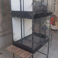 قفس پرنده|لوازم جانبی حیوانات|مهریز, |دیوار