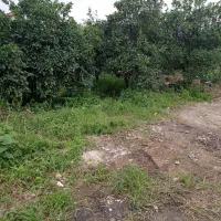 زمین بمسافت 215متر داخل بافت