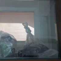 آکواریوم شیشه خم