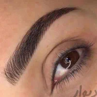 آموزش فیبروز . میکرو .شیدینگ لب . لایت . کراتین|خدمات آرایشگری و زیبایی|شیراز, تاچارا|دیوار