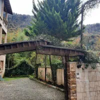 فروش-ویلای-لوکس-پلاک-اول-جنگلی-میانکی