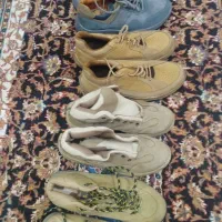 گربه خانگی|گربه|مشهد, ارشاد|دیوار