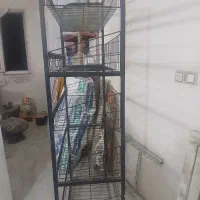 استند پفک ولواشک و هایپری و۲عددنور گیر