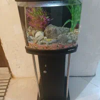 اکواریوم اب شور