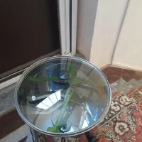 سبزی خرد کن سه کیلویی نو|خردکن، آسیاب، غذاساز|اهر, |دیوار