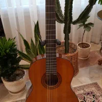 گیتار یاماها C40 - اصل اندونزی - کاملا نو