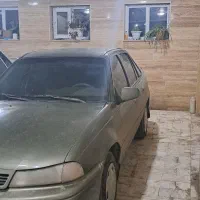 دوو سیلوو ۸۱