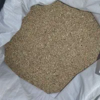 لوبیا ریز پلویی (محلی)