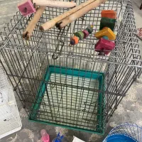 قفس و اسباب بازی پرنده|لوازم جانبی حیوانات|لاهیجان, امیرشهید|دیوار