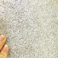 پالاز موکت دو تا ۱۲ متری کاملا سالم