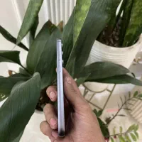 s23fe|موبایل|مشهد, عامل|دیوار