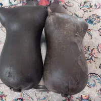 هیزه|صنایع دستی و سایر لوازم تزئینی|ایلام, |دیوار