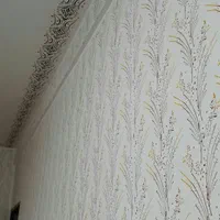 نقاشی ساختمان|خدمات پیشه و مهارت|شاهین دژ, |دیوار