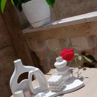 بیس خام سنگی برای رنگ آمیزی|مجسمه، تندیس، ماکت|ساری, |دیوار