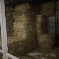 کاه گندم|عمده‌فروشی|کلباد, |دیوار