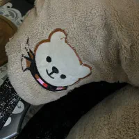 خرس ۲ متری|اسباب‌بازی بچه|مشهد, خواجه ربیع|دیوار