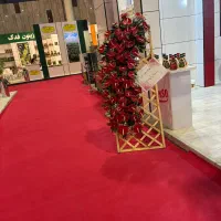 شاگرد وارد یا نیمه وارد کاردرگلفروشی