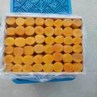 فروش خشکبار آذربایجان|عمده‌فروشی|شیراز, کاراندیش|دیوار