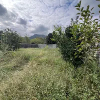 زمین ۴۹۲ متری پای کوه کد۲۸۲