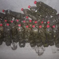 بطری خیارشور