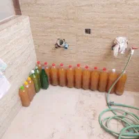 سرکه سیب خانگی