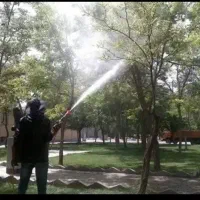 سمپاشی باغبانی تیلرزنی سمپاشی درختان هرس کاری