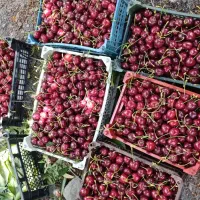 گیلاس|خوردنی و آشامیدنی|طرقبه, |دیوار