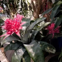 تدریس خصوصی ریاضی و کامپیوتر