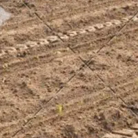 زمین خالی چشمه زیارت