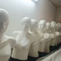 چوبکار و رگال